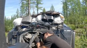 Рыбалка на хариуса 2024 Рыбалка на болотоходе!