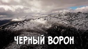 Записки Сибирского Натуралиста 5/13. Чёрный ворон
