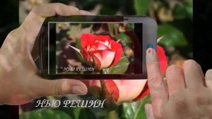 Madamin Beknazarov - Chaman ichinda | Мадамин Бекназаров - Чаман ичинда