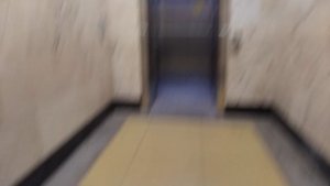 Лифт ELM 2023Гг 630кг 8чел. адрес: Станция [Мичуринский проспект] по середине Москвы