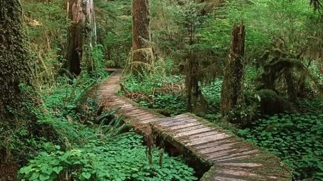 Сергей Лирин׃ Мужчина и Личность (16.03.2017) смотреть онлайн