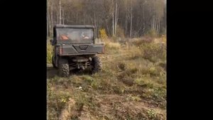 Добыт лось из-под лаек