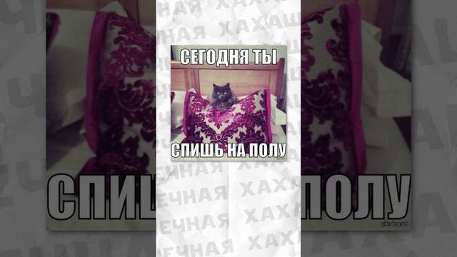 Мемы есть мемы #приколы #мемы #мем #лютыеприколы