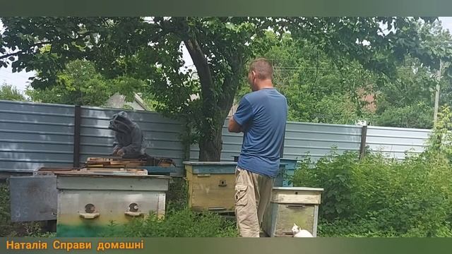 Всі до роботи! Кожному своє. смотреть онлайн