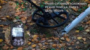 Nokta Makro Simplex+ (WHP) | ТЕСТ на глубину