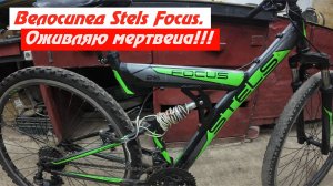 Stels Focus. Оживление мертвеца по бюджету. Из рубрики ВЕЛО-ДИЧЬ и Благотворительность!