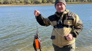 Рыбалка в Астрахани.Бешеный клёв.Окунь и берш на спиннинг.