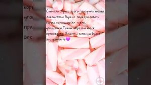 Как приручить хорька к рукам?💜