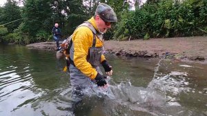 Для полноты ощущения настроения 🥰❄️🎄