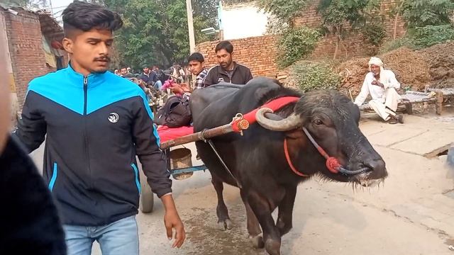 akbarpur raina 2021, jhoota race mohit sirohi, rahul rathi, aakashrathi, deepak rathi, goutam raina