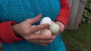 ЖИВЁМ в ГЛУХОЙ ДЕРЕВНЕ БЕЛАРУСИ на Краю