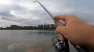 Вода ушла, ушла ли рыба ? Рыбалка на Ксеньевской балке.