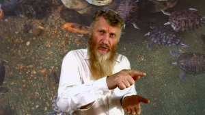 "ТЕЛО ХРИСТА" в контексте Израиля.     איפה אחיך? (שמואל)