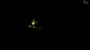 HOT STUFF: Supernova M99 Mini Pro B54 (english)