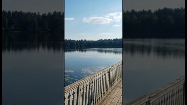 Эти осень и зима