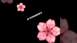 Индийская песня на чеченском😂😂😂💛❤