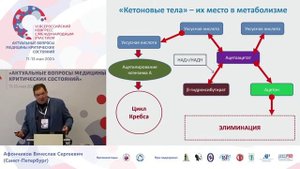 Кетоны, кетоновые тела, кетоз и кетоацидоз Афончиков В.С.