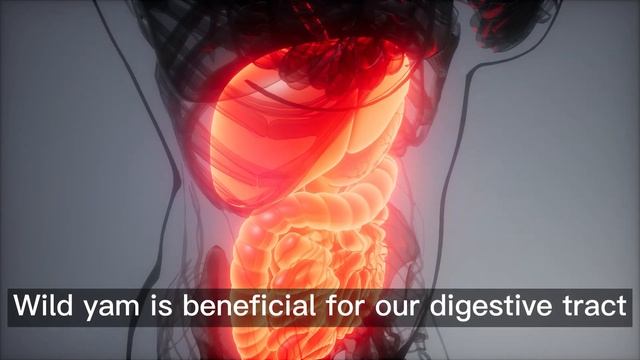 Wild Yam 10 Benefits + How to Use (Herb for Menopause, Anti-Aging, Brain Health) [Multi-Subtitles] смотреть онлайн