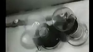 Эксперимент И.Павлова