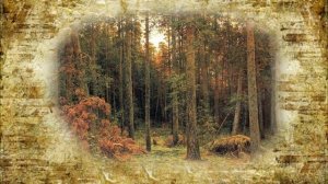 Дедушкины рассказы 14  Волчок Zvook.