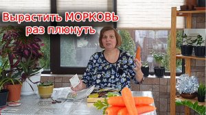 Вырастить морковь без заморочек