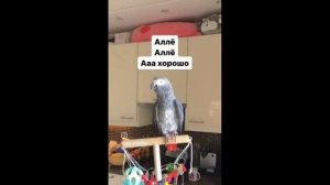 Праздничной ночи Страна!