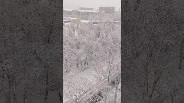 новогодняя погода в Москве 31 декабря