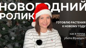 Готовлю свою коллекцию к Новому году, мою и пересаживаю. Новогодние трипсы и история про Фрайдек.