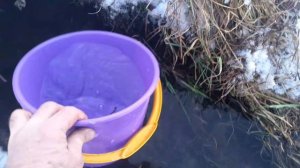 Сгоняли на родничок на буксировщике. Всех с наступающим Новым годом!