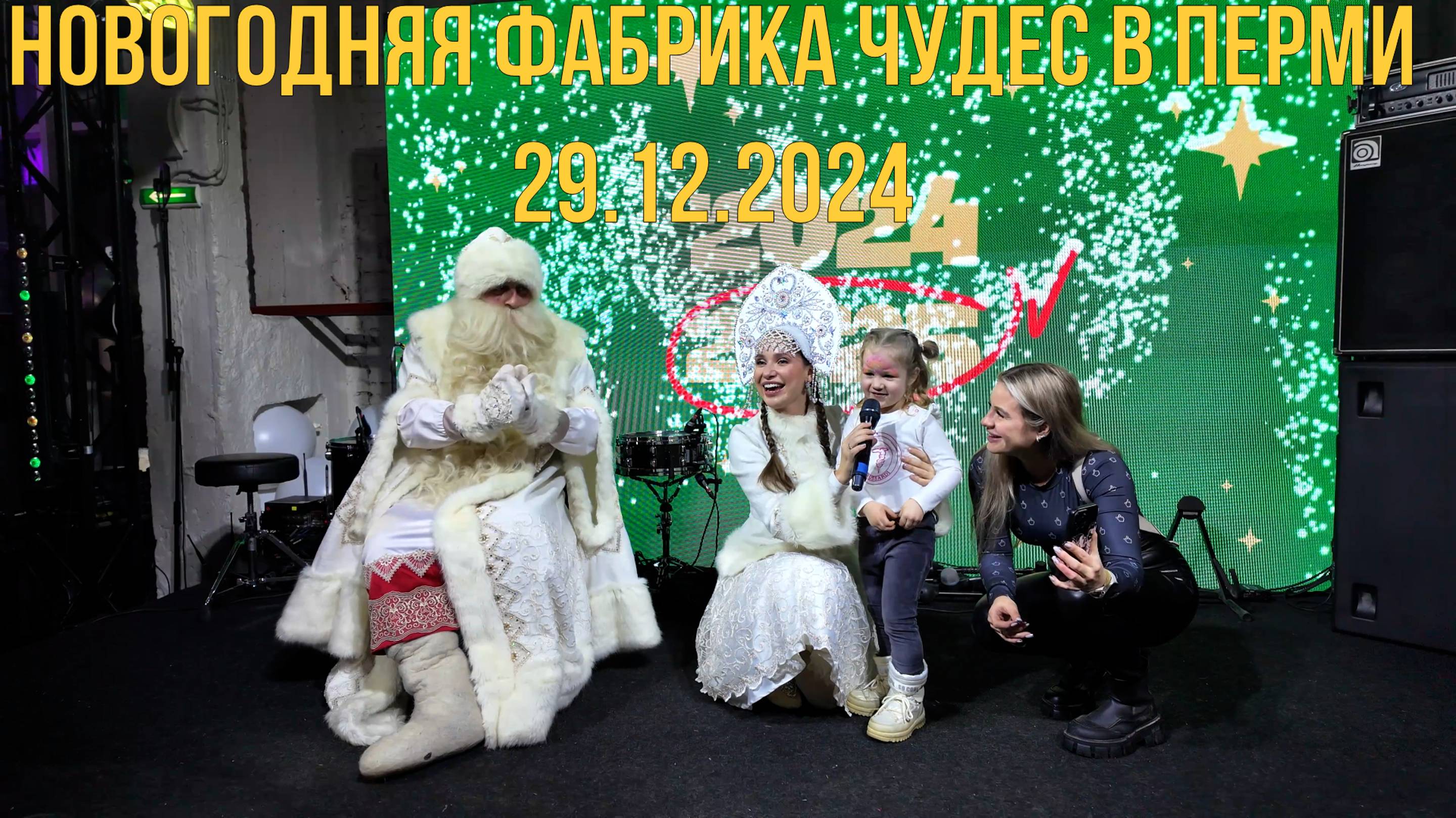 Новогодняя фабрика Чудес в Перми 29.12.2024