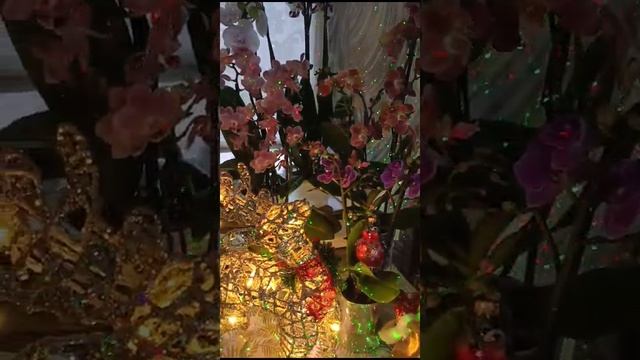 видео открытка из Краснодарского края