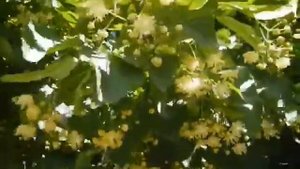 Ирина Отиева – Двое