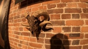 ВЫБОРГ путешествие