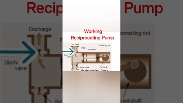 #pump #fluidmechanics #reciprocating #engineering #chemical #shortsvideo #best #motivation