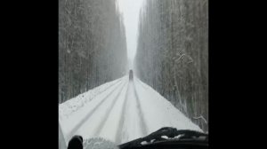 Без названия.mp4