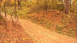 Путешествие в осенний лес. Среди холмов.