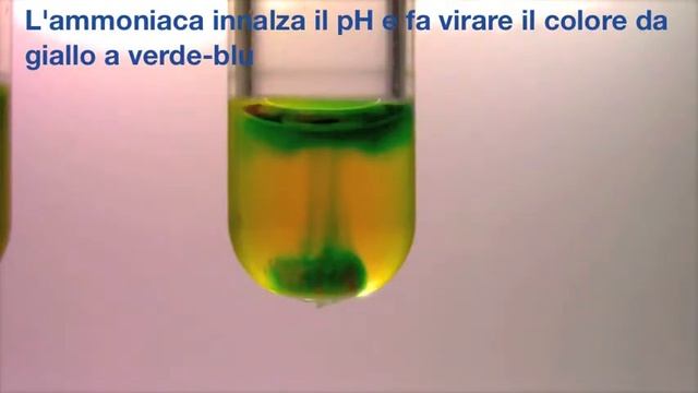 Biotest HD - test ultra-rapido all’ureasi per Helicobacter Pylori