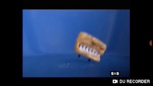 Cini Minis - Lick (2016 Russia)