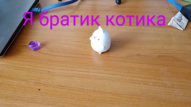 Котик
брат
кролик