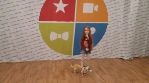 Мама купи песика песня / купи песика / песня про собаку / песня Милана Хаметова / минус купи песика