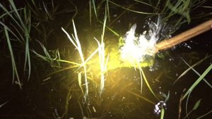 Правильная Рыбалка. На червя)