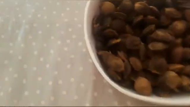 Любимый компот Расула 🍑🍑🍑🧑🧑🧑👩👩👩 смотреть онлайн