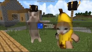 кто лучше шайлушай или кот банан