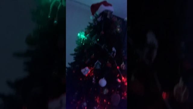 Алиса, с новым годом 🎄 #сновымгодом