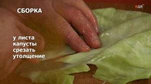 Приготовление голубцов | Принципы Лазерсона