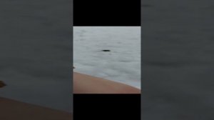 1000000322.mp4