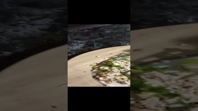 Заполняем тарталетки .Часть 2