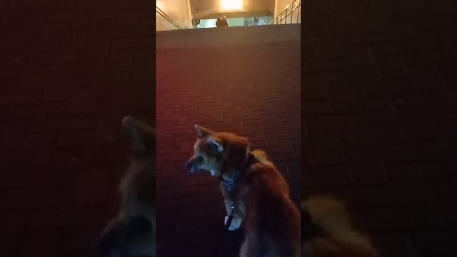 Аэропорт смотреть онлайн