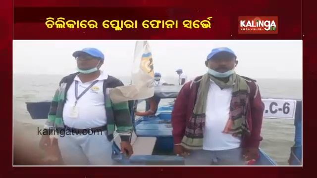 Flora, Fauna Survey Begins At Chilika Lake || KalingaTV