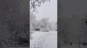 Утро 31.12.24  - А снег идет...